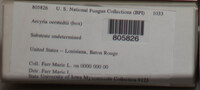 Image Associated With the Occurence